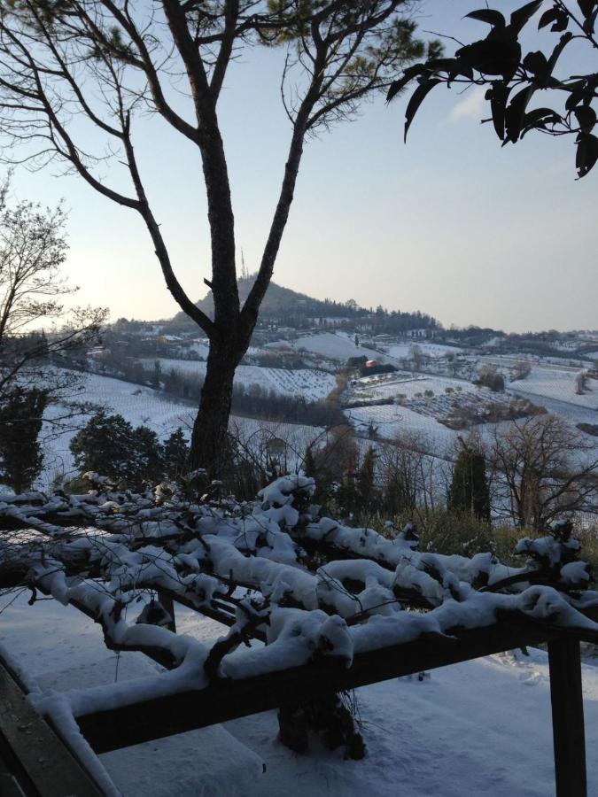 Villa 225 Bracciano  Экстерьер фото